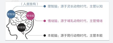 废掉一个孩子最乐鱼电竞速的办法便是姑息他“实时行乐”（深度好文）(图6)